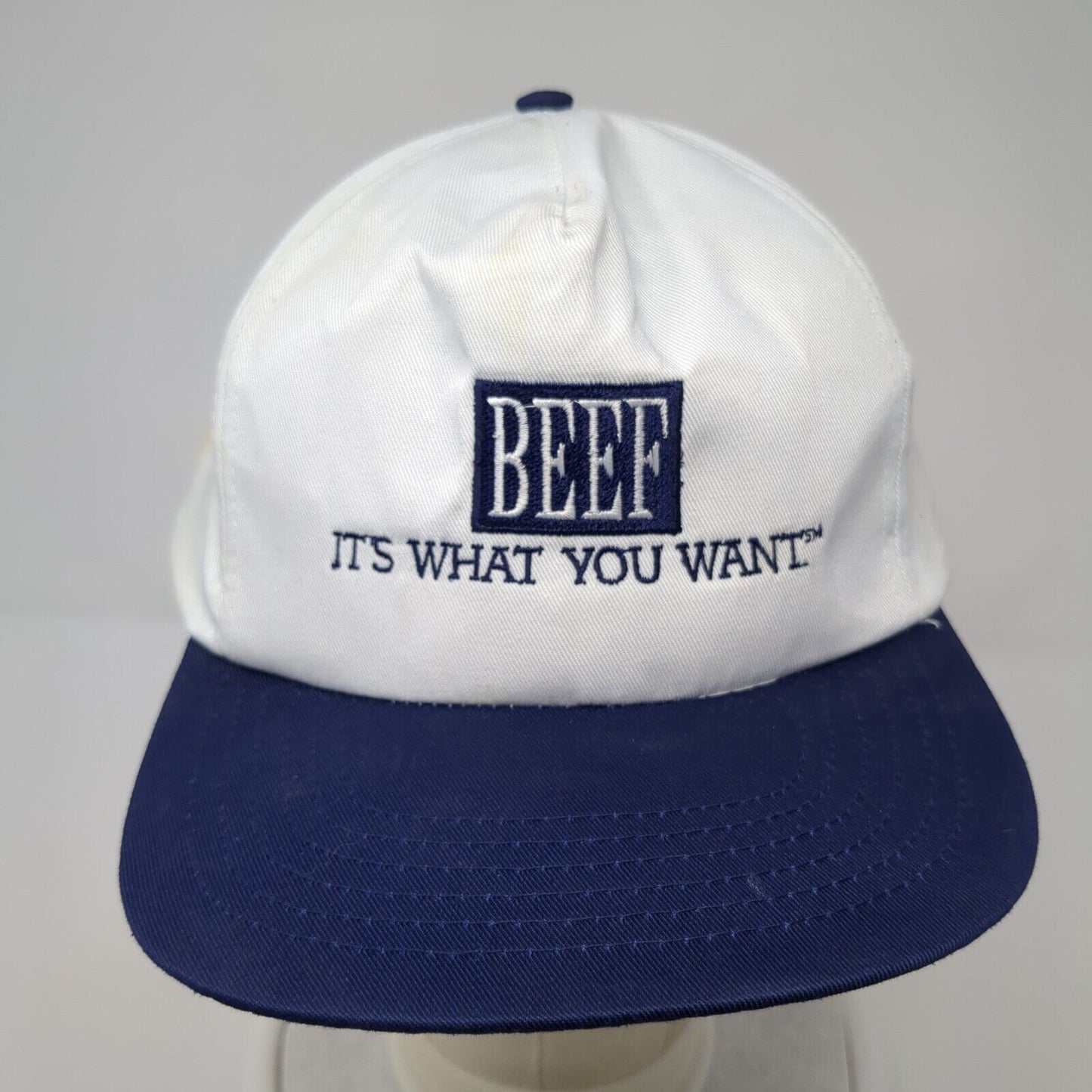 Bee It's What You Want Snapback Hat Multicolor One Size Adjustable Embroidered