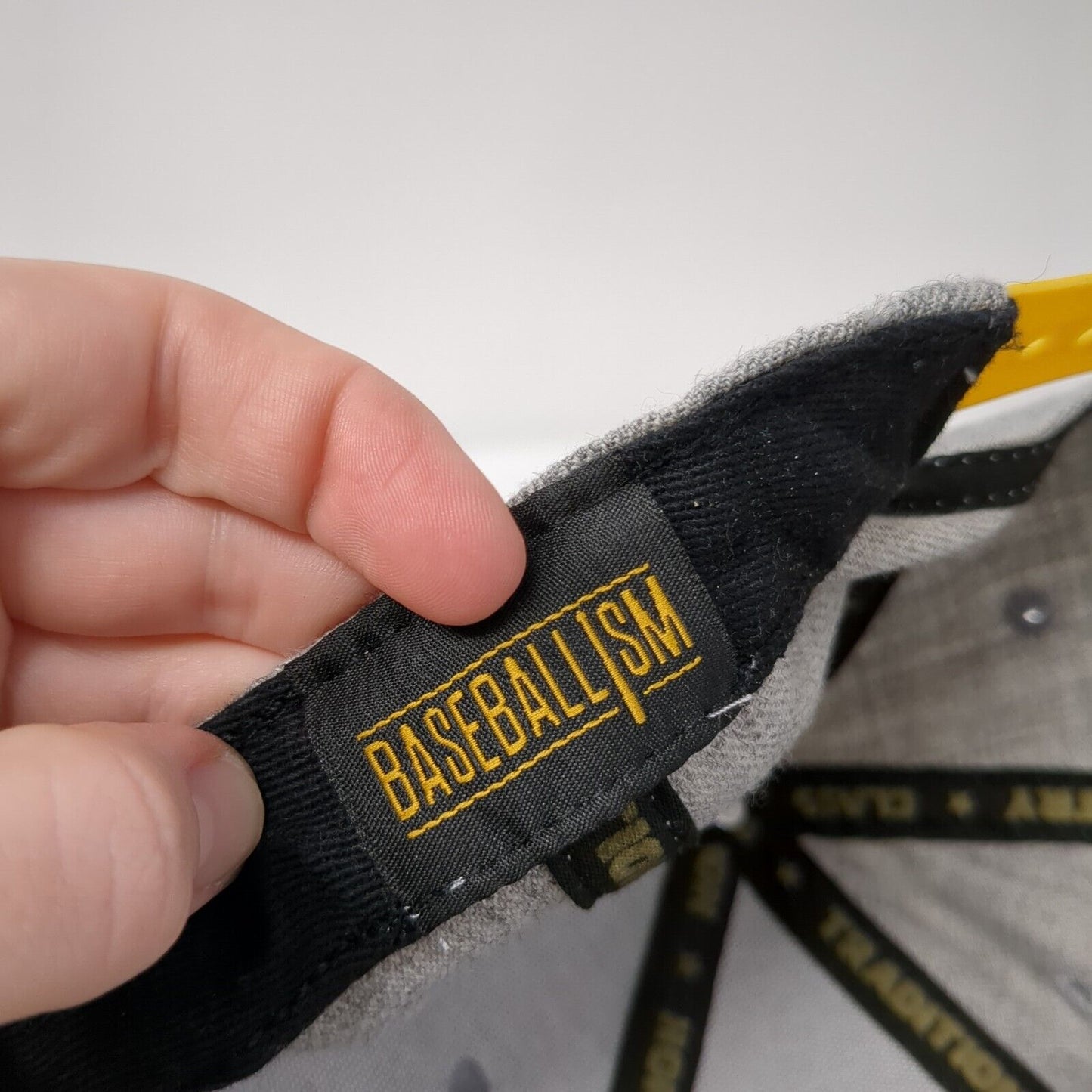 Baseballism Snapback Hat Gray Embroidered Limited Edition Spring 2020 Cactus
