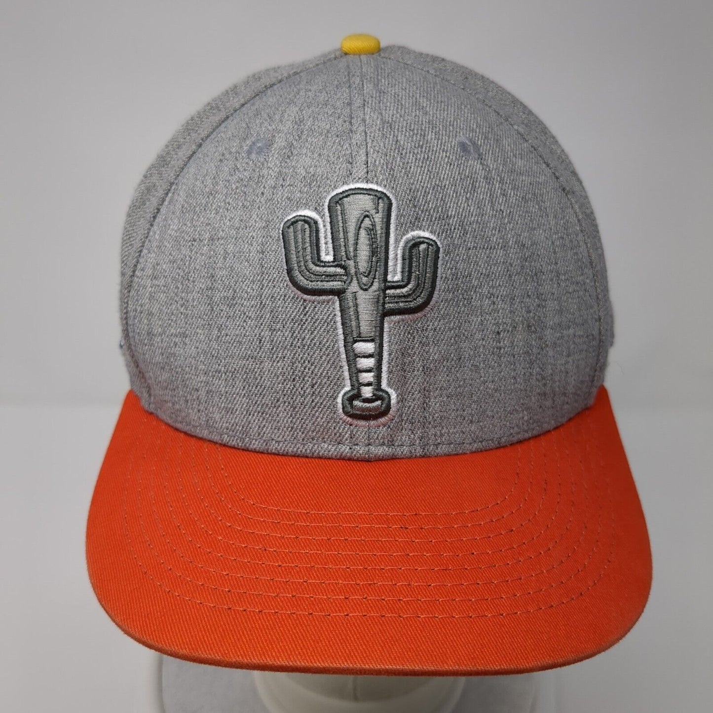 Baseballism Snapback Hat Gray Embroidered Limited Edition Spring 2020 Cactus