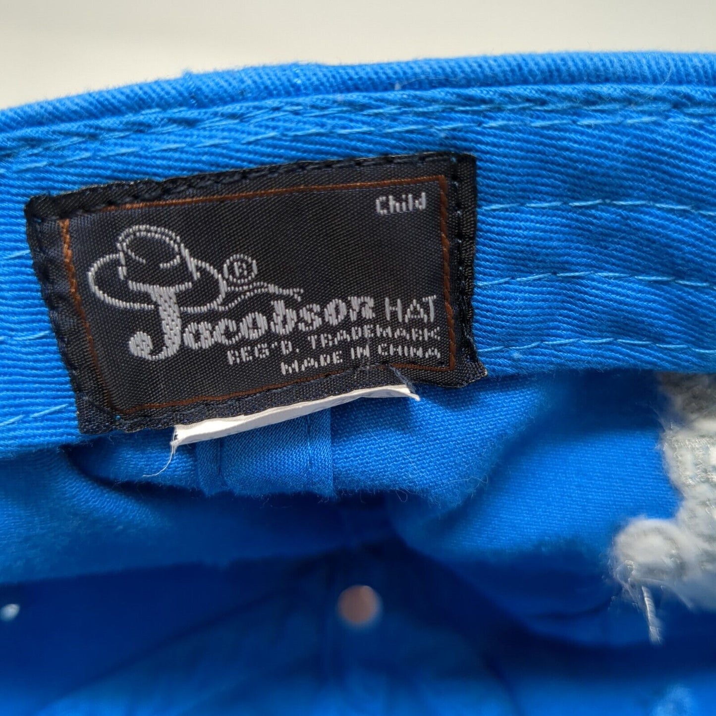 #Team Fiona Cincinnati Zoo & Botanical Garden Child Strapback Hat Blue OSFA