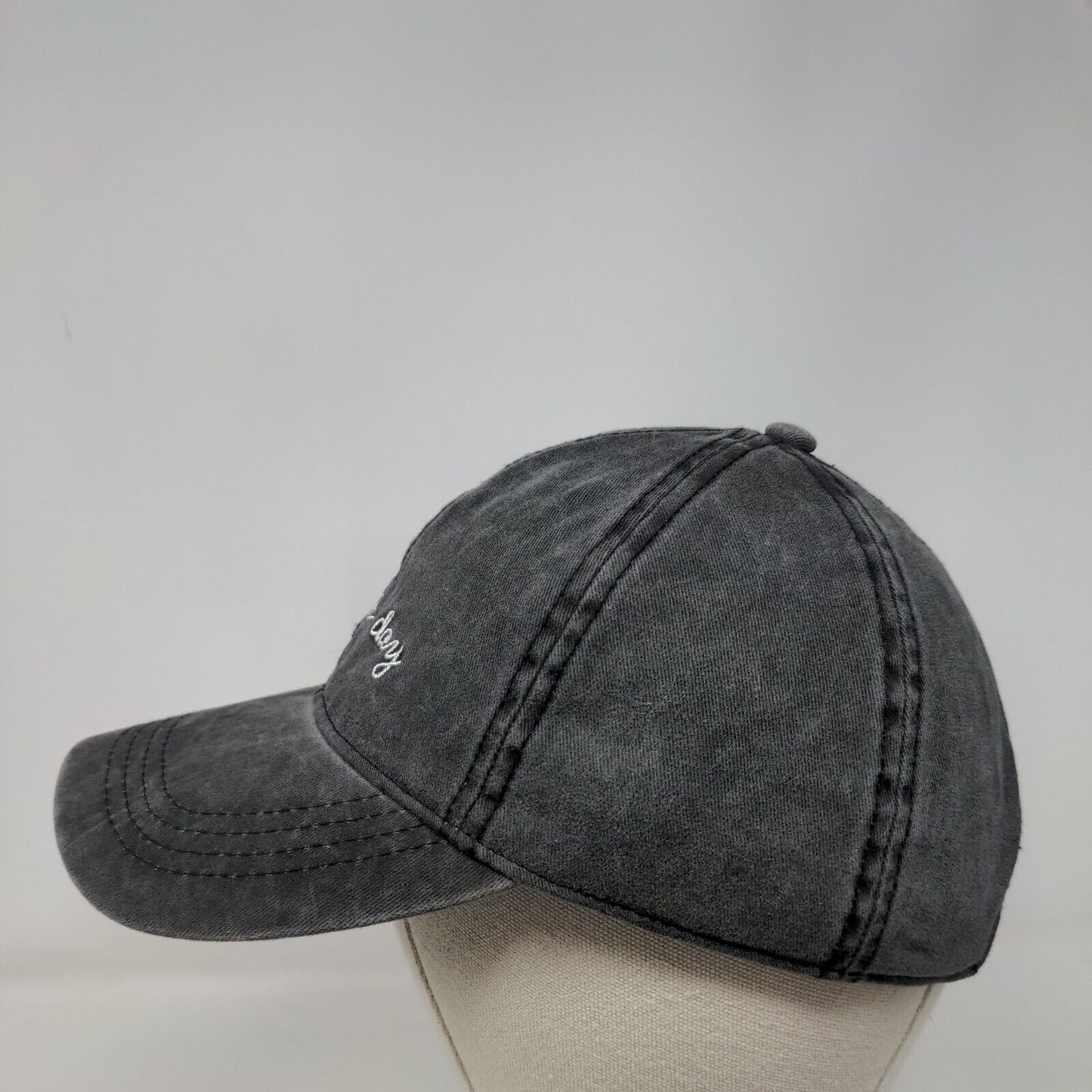 Bad Hair Day Slideback Hat Gray OSFM Adjustable Solid David And Young