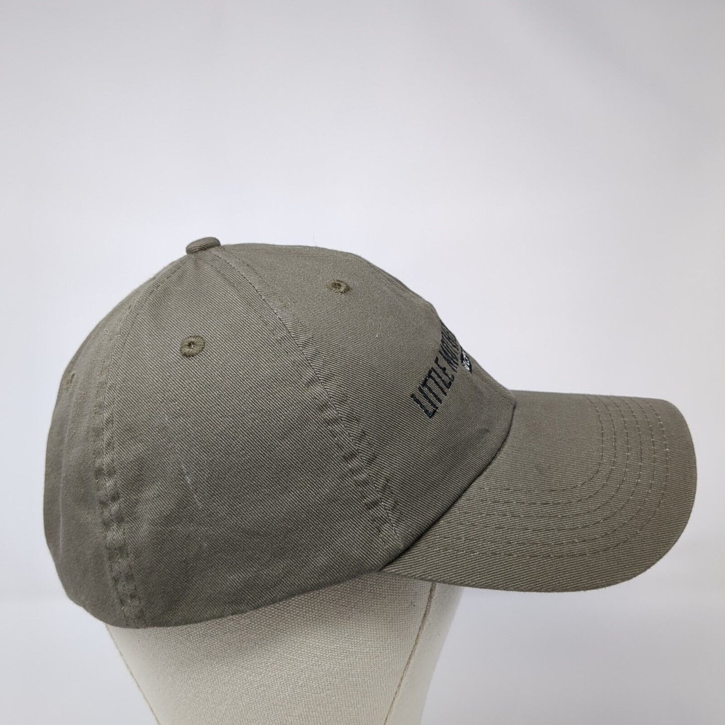 Little Mother Cluckers Backyard Chicken Farm Slideback Hat Brown OS Adjustable