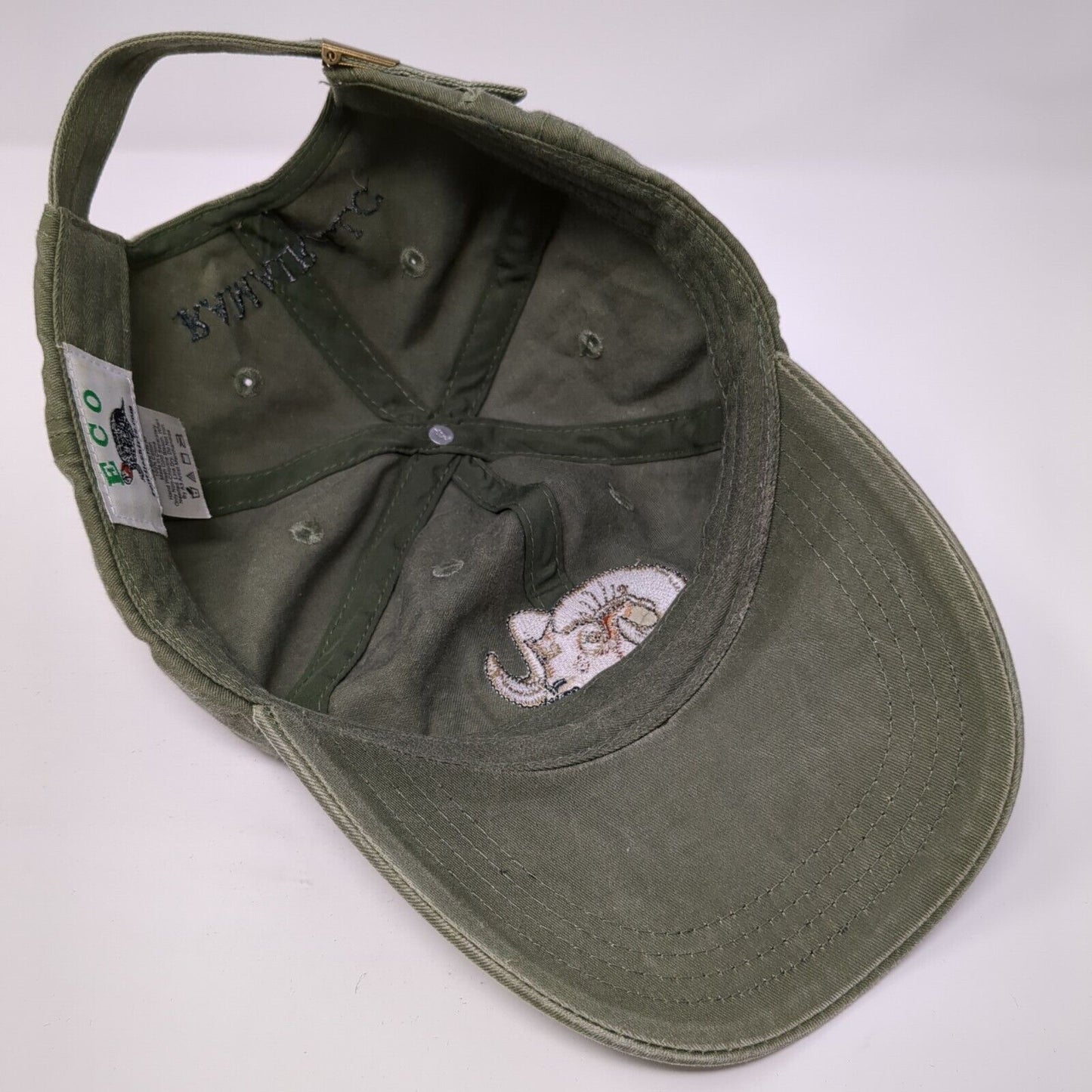 Ramair LLC Slideback Hat Green One Size Adjustable Embroidered Eco