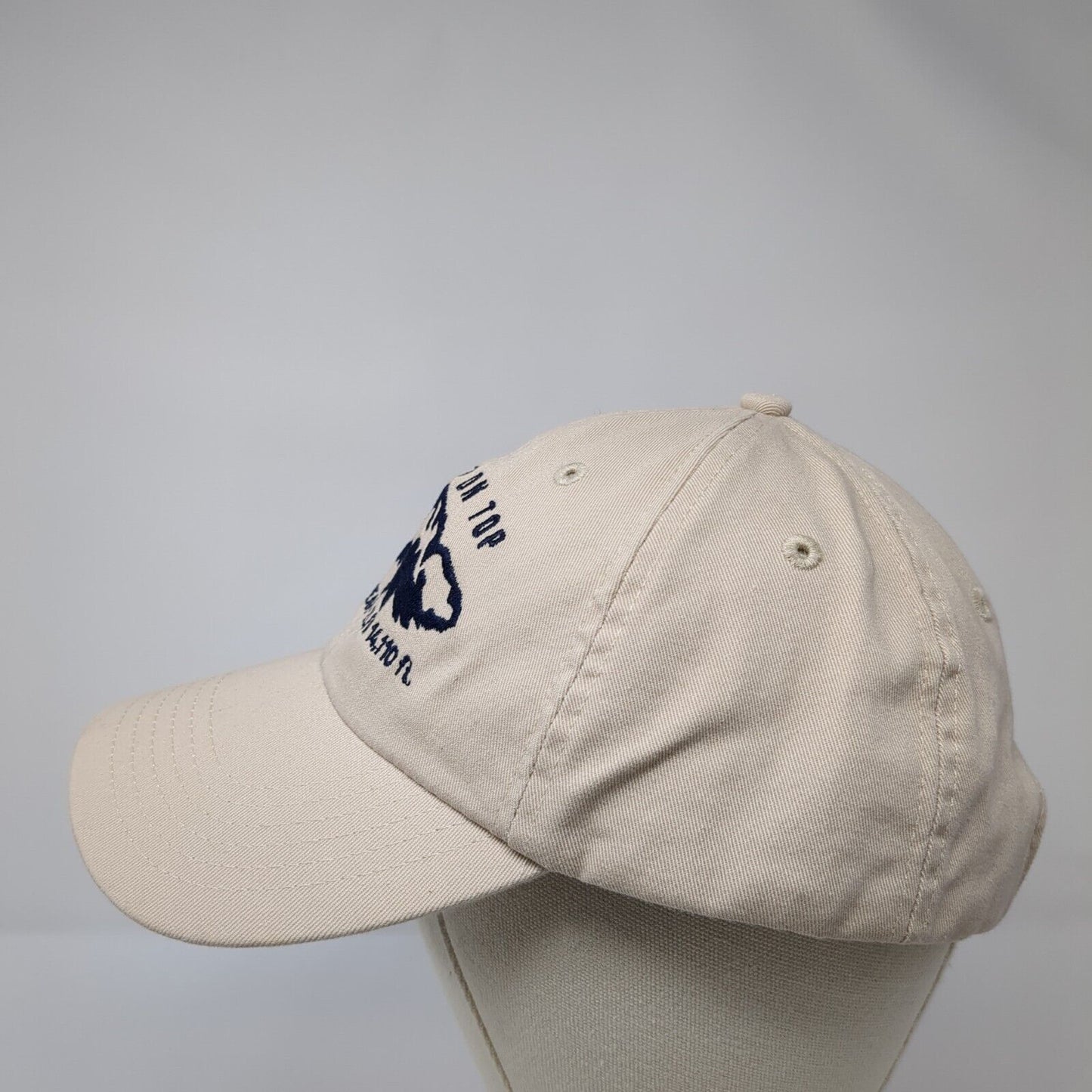 I Like It On Top Pikes Peak Slideback Hat Tan One Size Embroidered