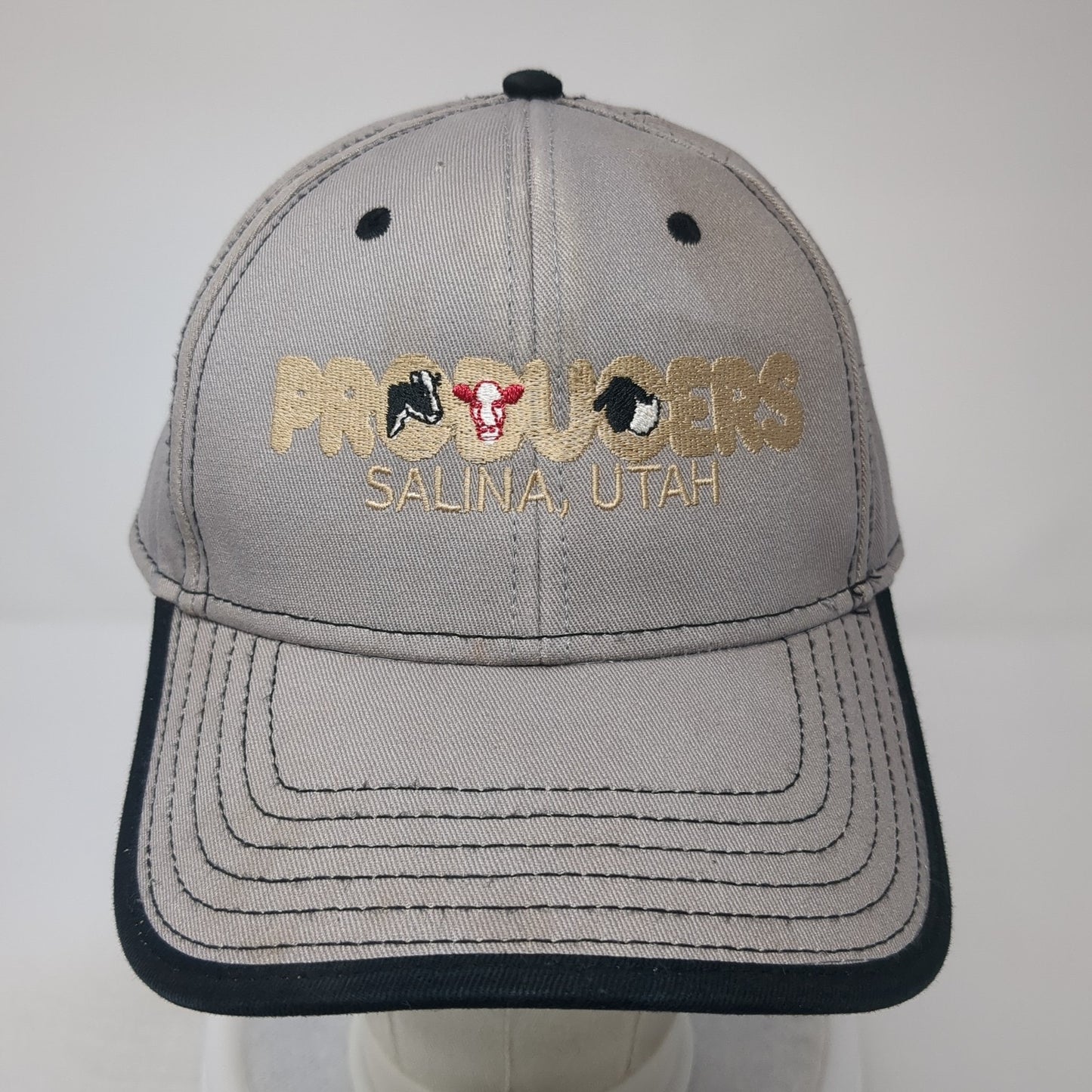 Producers Salina Utah Strapback Hat Gray One Size Embroidered Otto