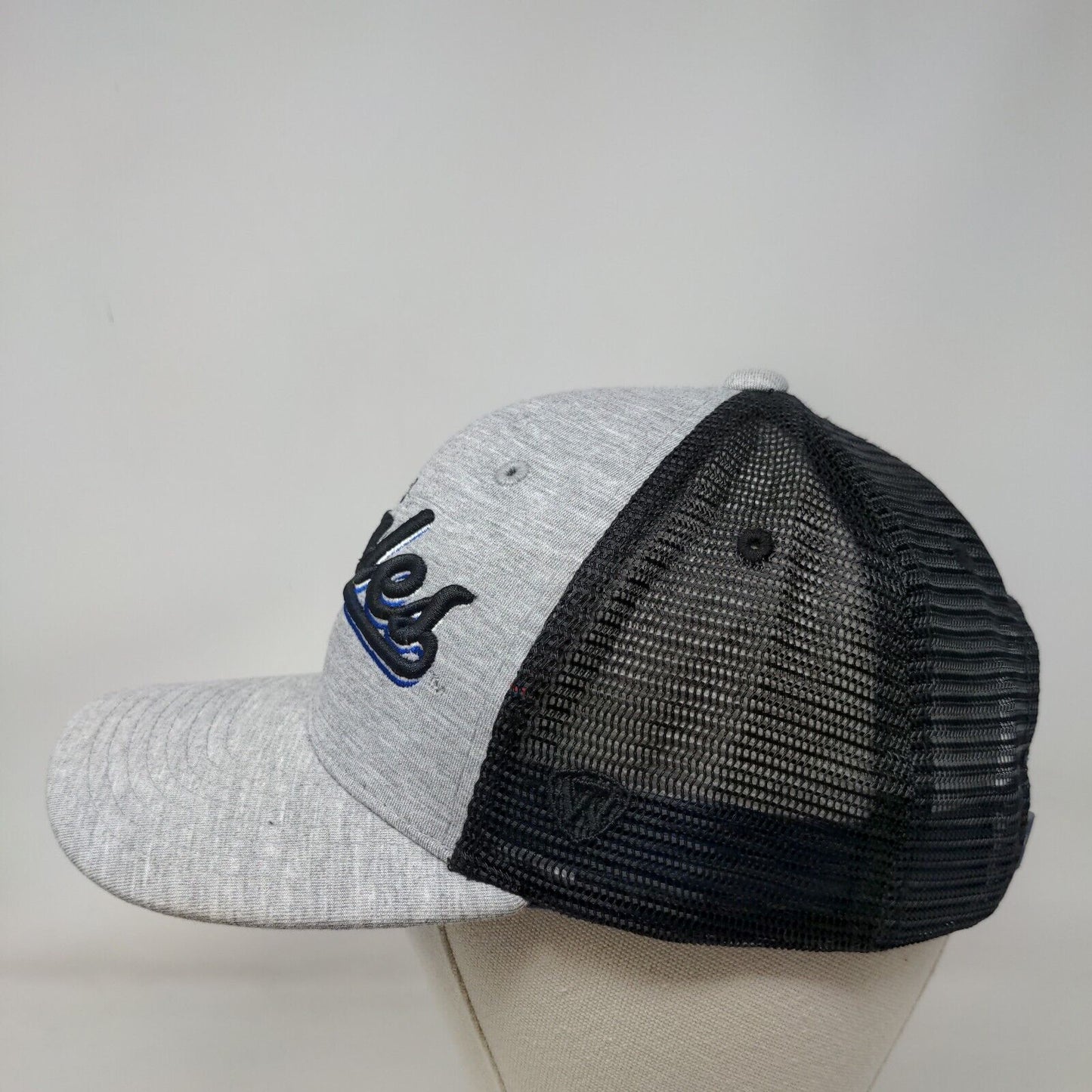 FGCU Eagles Snapback Mesh Back Hat Gray Top of the World NCAA