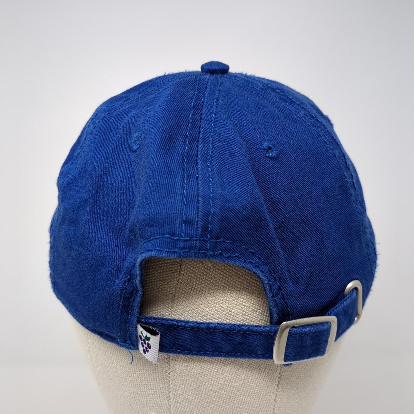 Cape Cod Slideback Hat Blue One Size Adjustable Embroidered Solt As A Grape