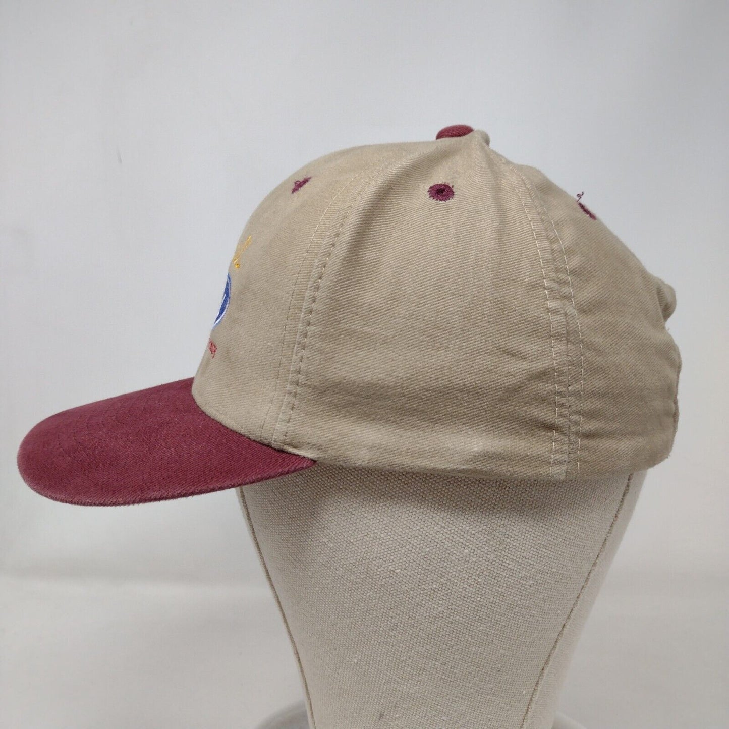 Larry Miller Ford Lincoln Mercury Slideback Hat Multi OSFA Colorblock