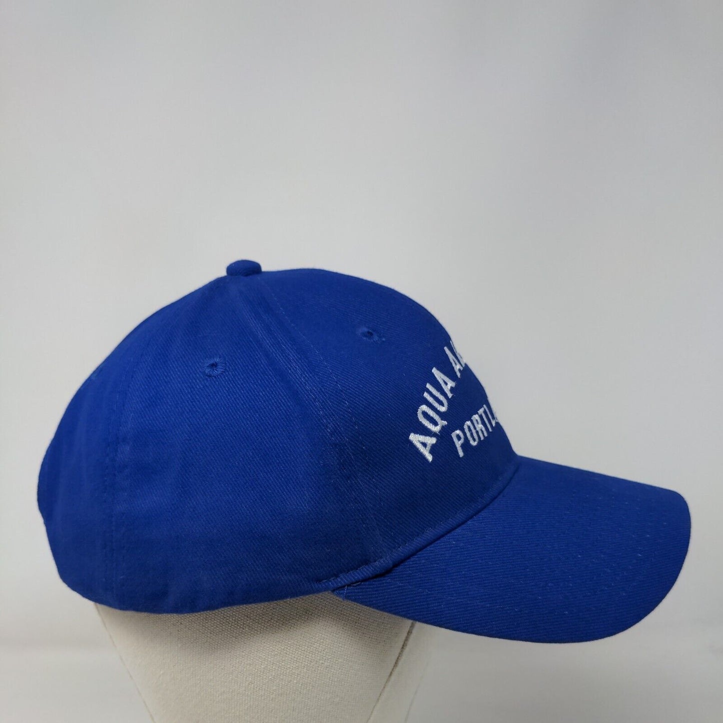 Aqua American Portland, OR Strapback Hat Blue OSFM Embroidered Otto