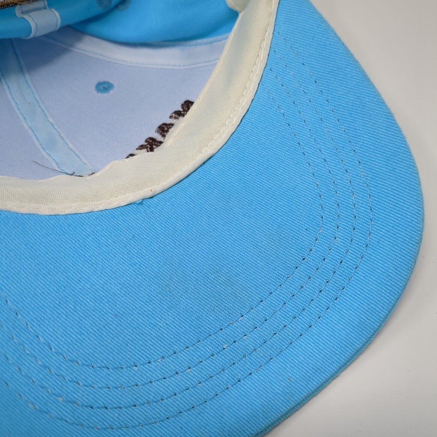 Make Cookies Fun Again Snapback Hat Blue One Size Thinsters Embroidered