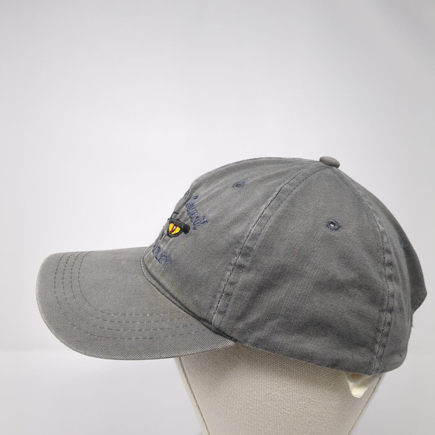 Snake River Council Camp Bradley Slideback Hat Gray One Size Adjustable Otto Cap