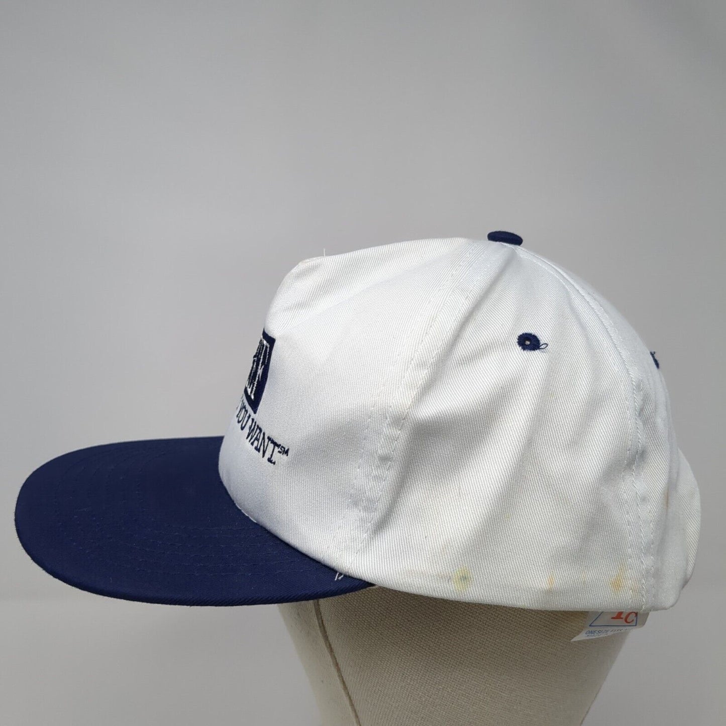Bee It's What You Want Snapback Hat Multicolor One Size Adjustable Embroidered