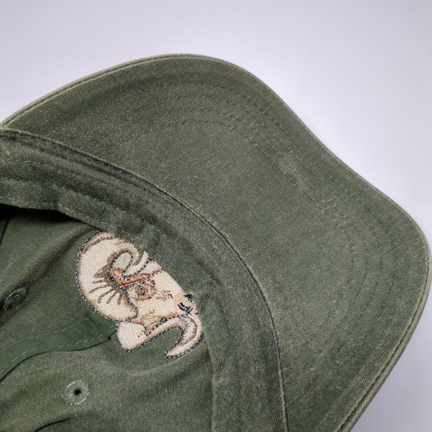 Ramair LLC Slideback Hat Green One Size Adjustable Embroidered 6 Panel ECO