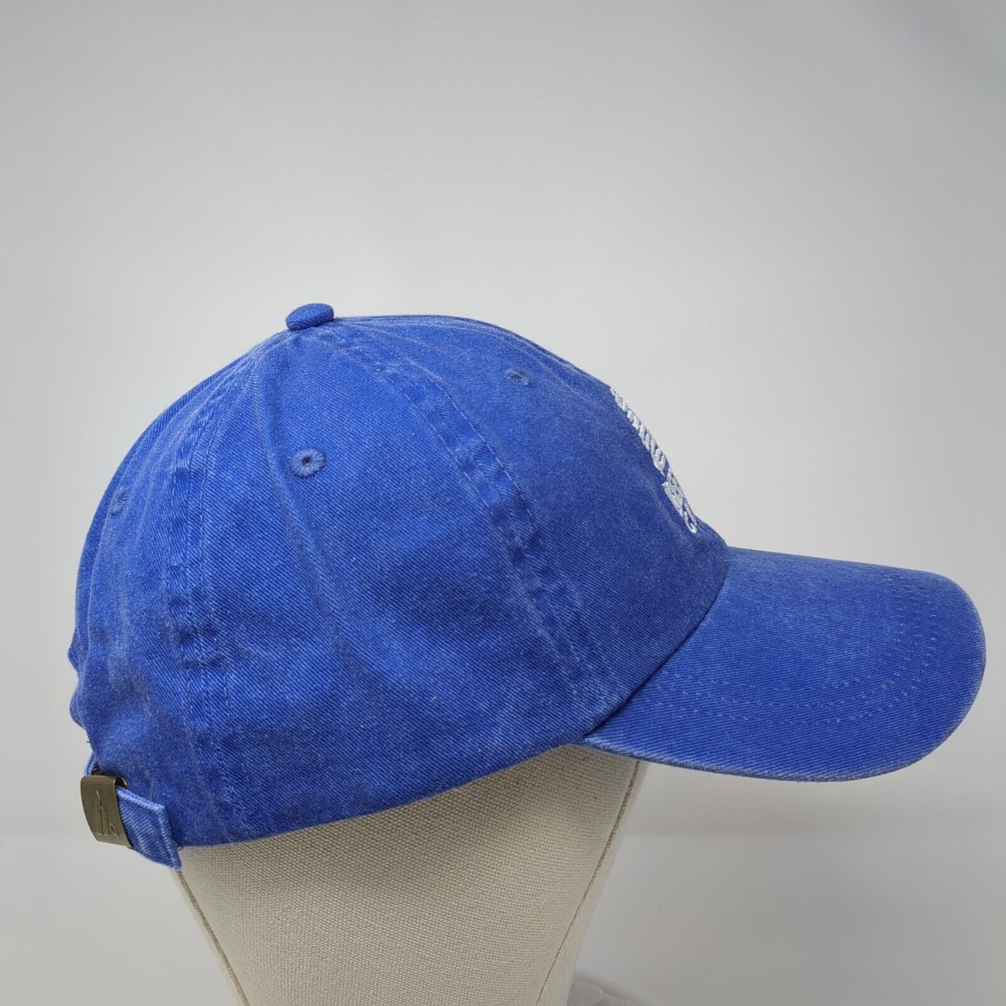 Beehive Cheese Slideback Hat Blue One Size Adjustable Embroidered HG