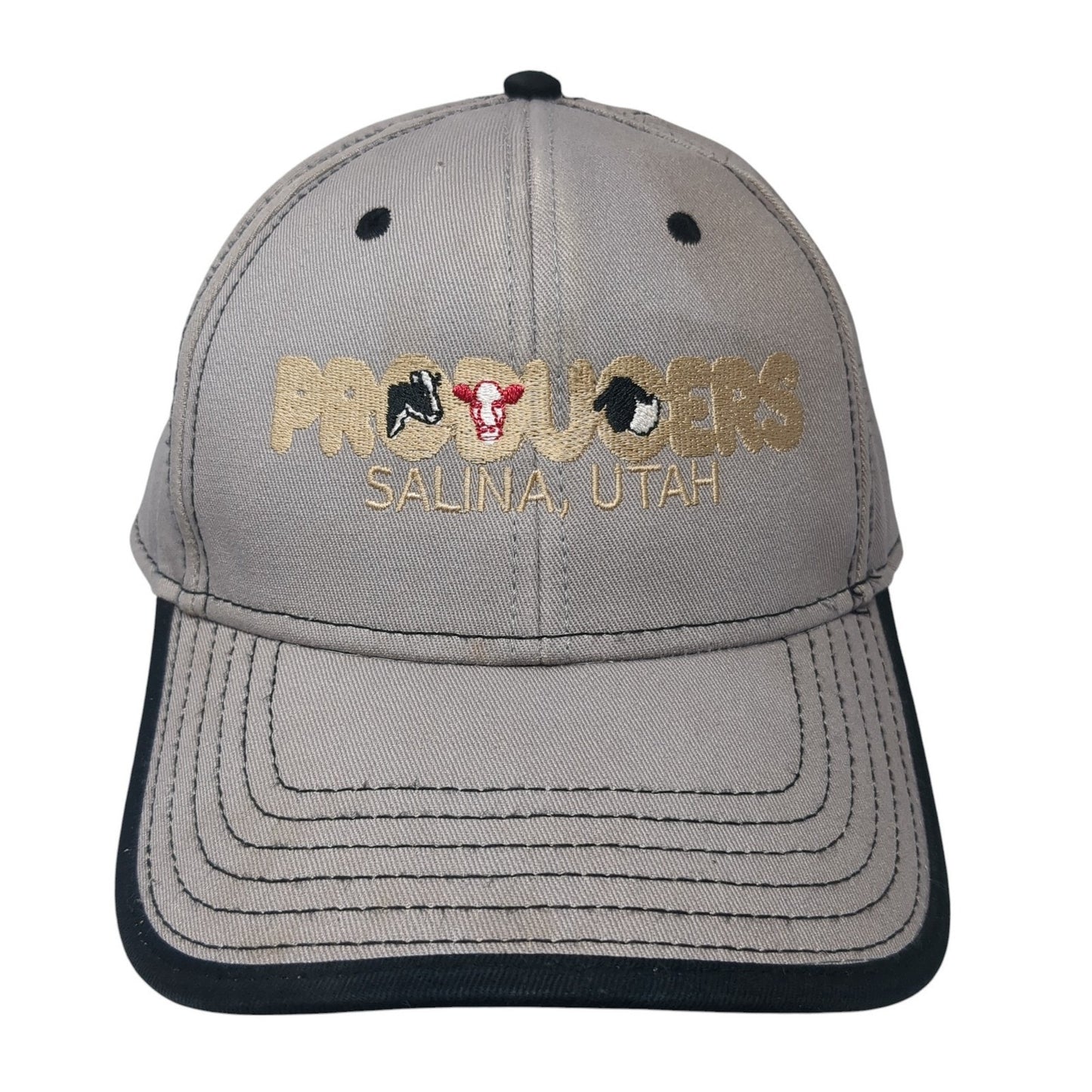 Producers Salina Utah Strapback Hat Gray One Size Embroidered Otto