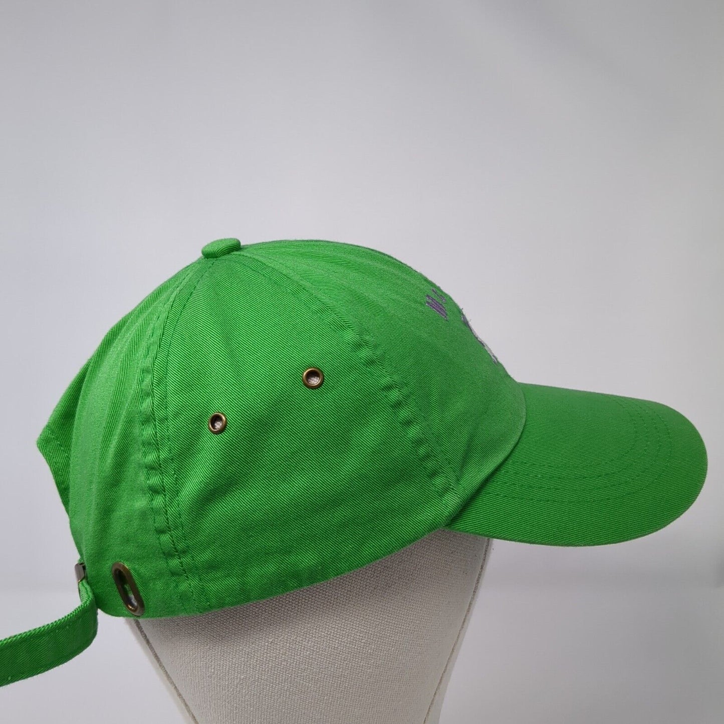 McCall Idaho Slideback Hat Green One Size Adjustable Embroidered Outdoor