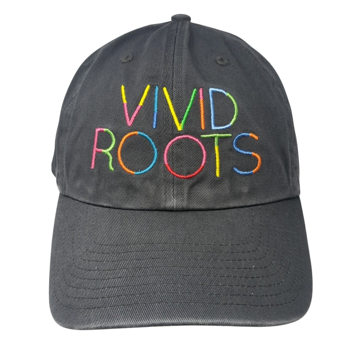 Vivid Roots Slideback Hat Gray One Size Adjustable Embroidered '47