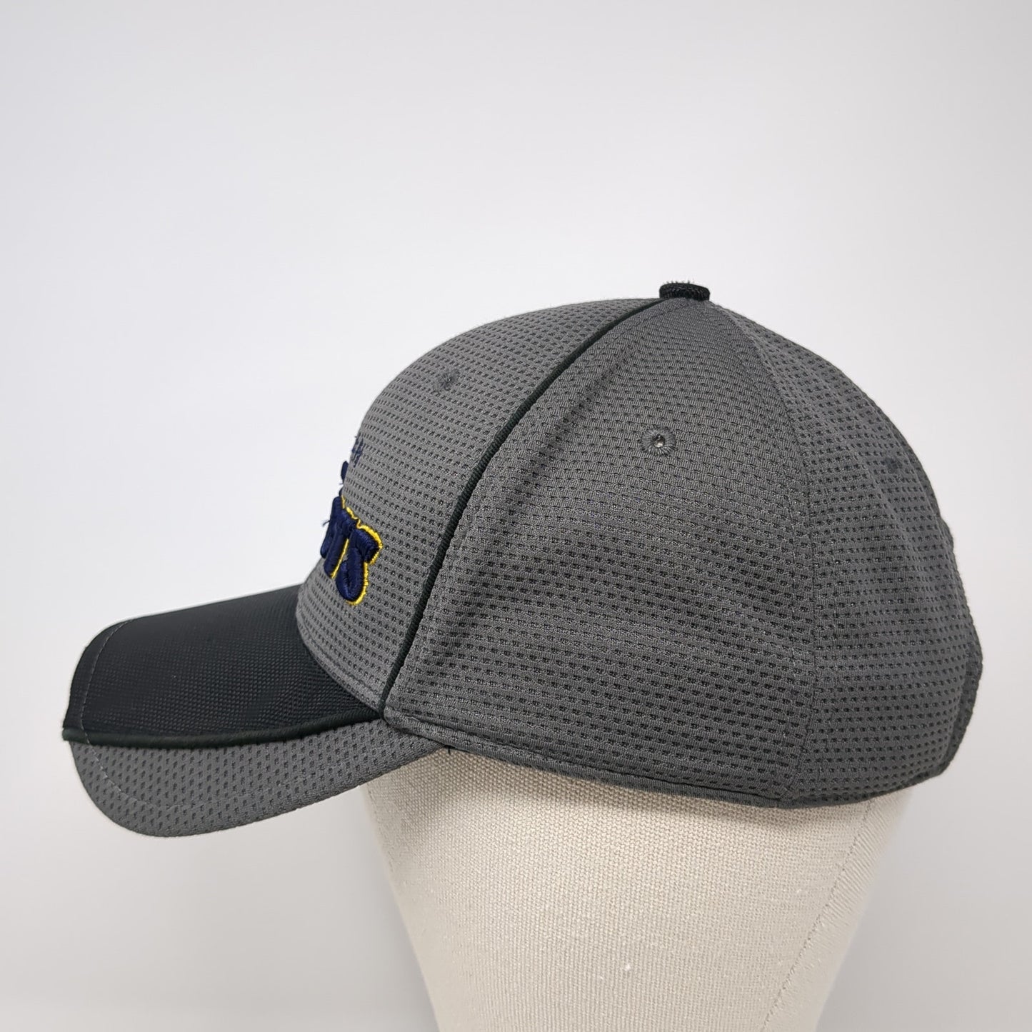 Meridian Warriors Strapback Hat Gray One Size Adjustable Embroidered