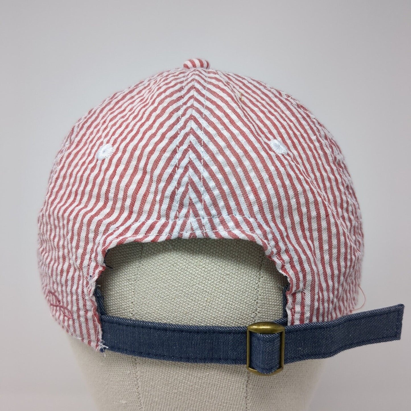 American Flag Slideback Hat Multi One Size Seersucker Striped Infinity