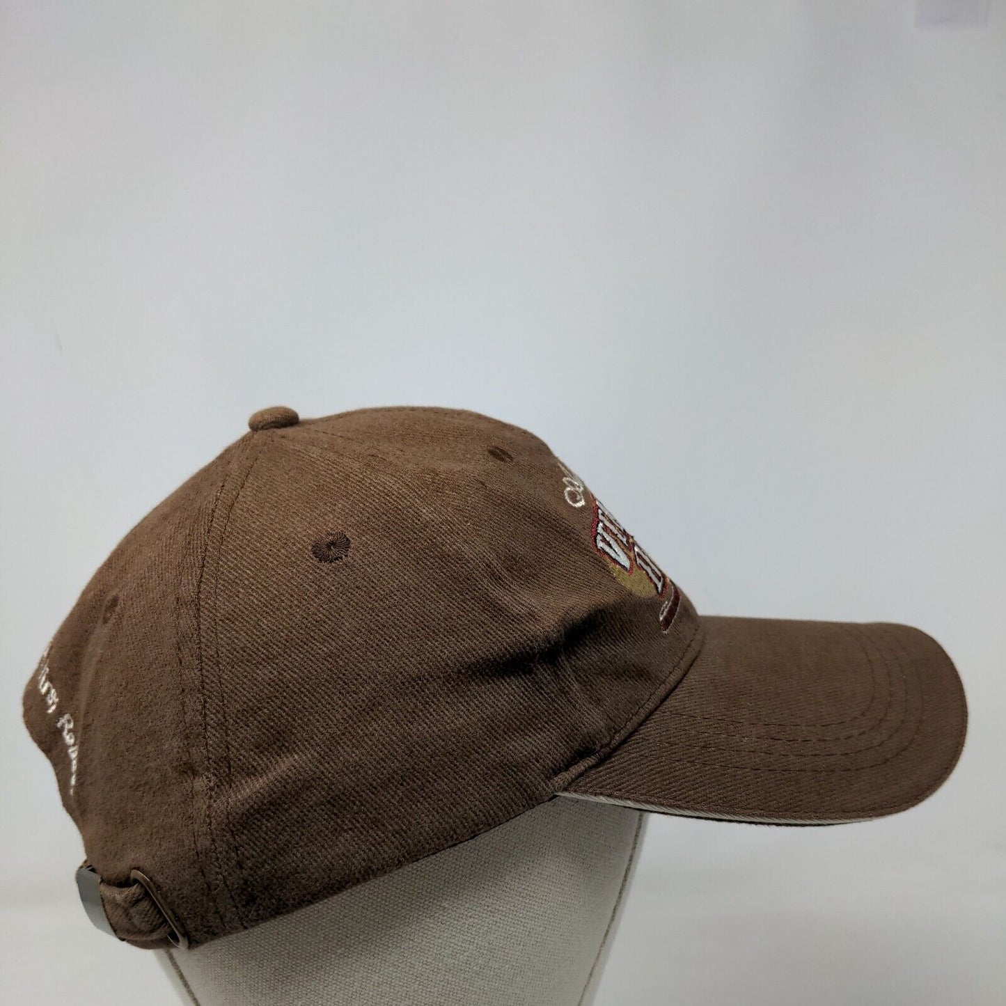 Authentic Vintage Dude This Ain't My First Rodeo Slideback Hat Brown One Size