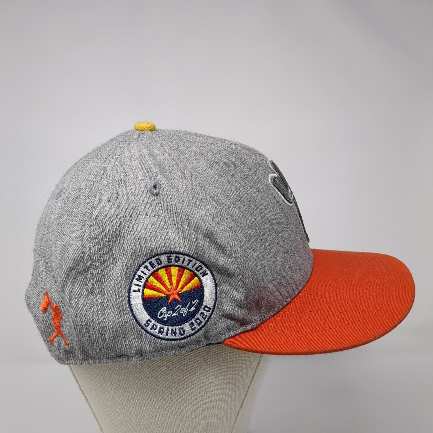 Baseballism Snapback Hat Gray Embroidered Limited Edition Spring 2020 Cactus