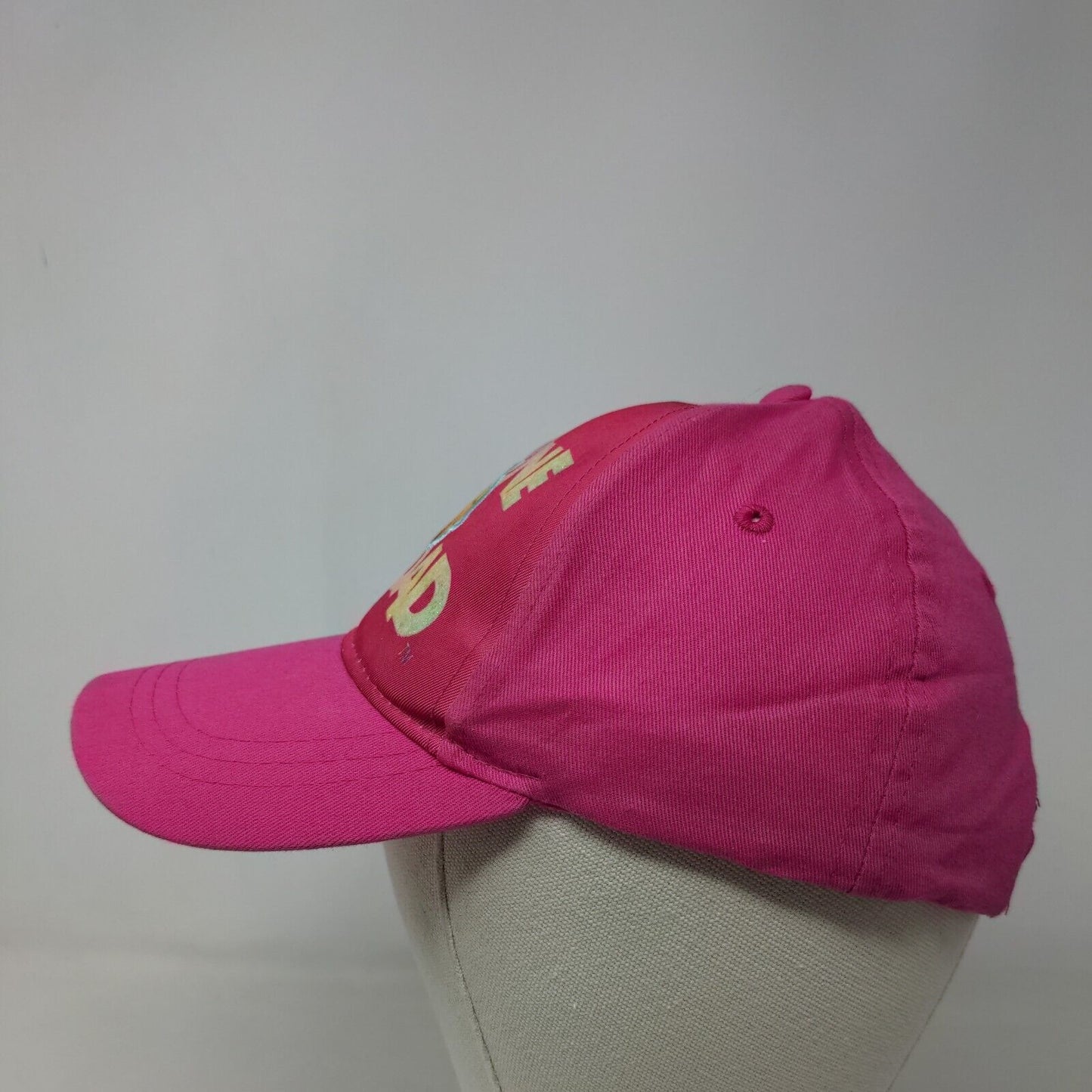 Space Jam a New Legacy Girl's Strapback Hat Pink OSFM Graphic Logo Lola Bunny