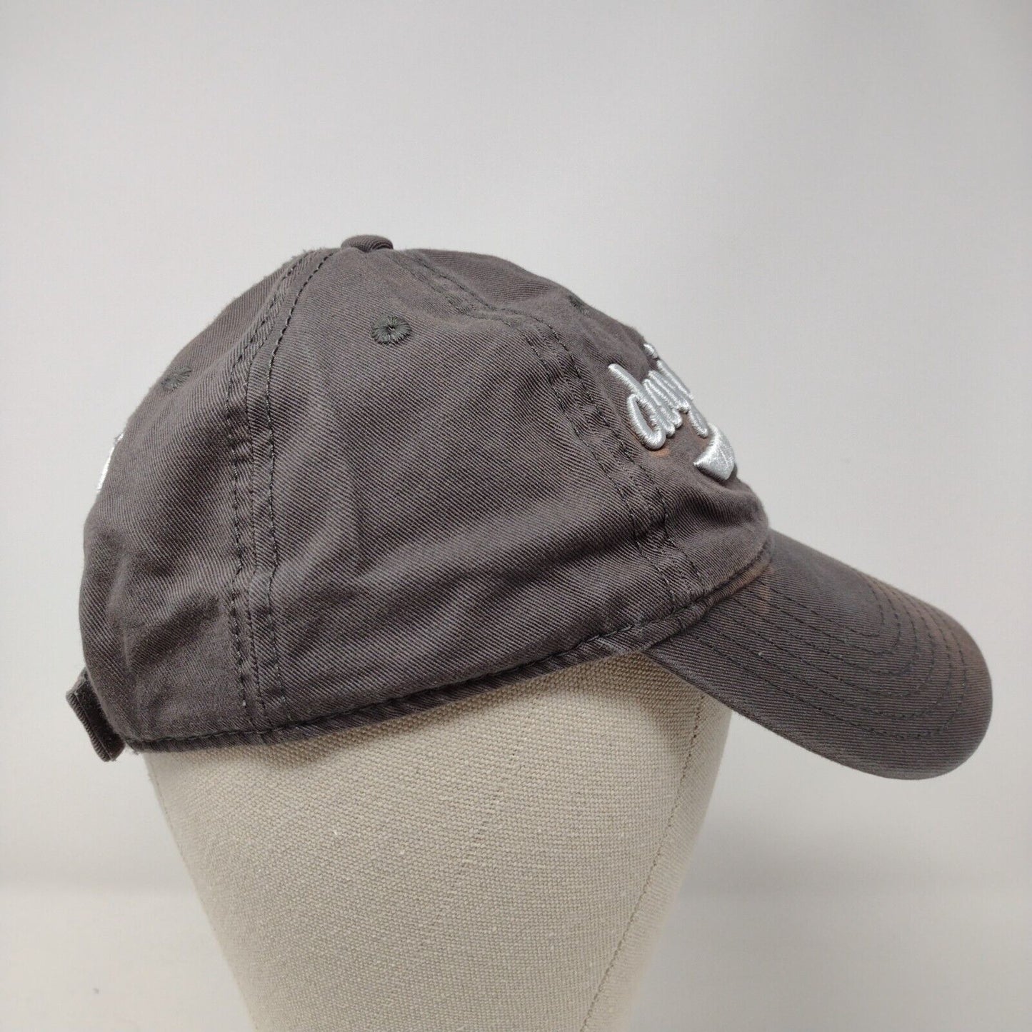Dog Is Good Strapback Hat Gray OSFA Solid Embroidered Inspired By Dog