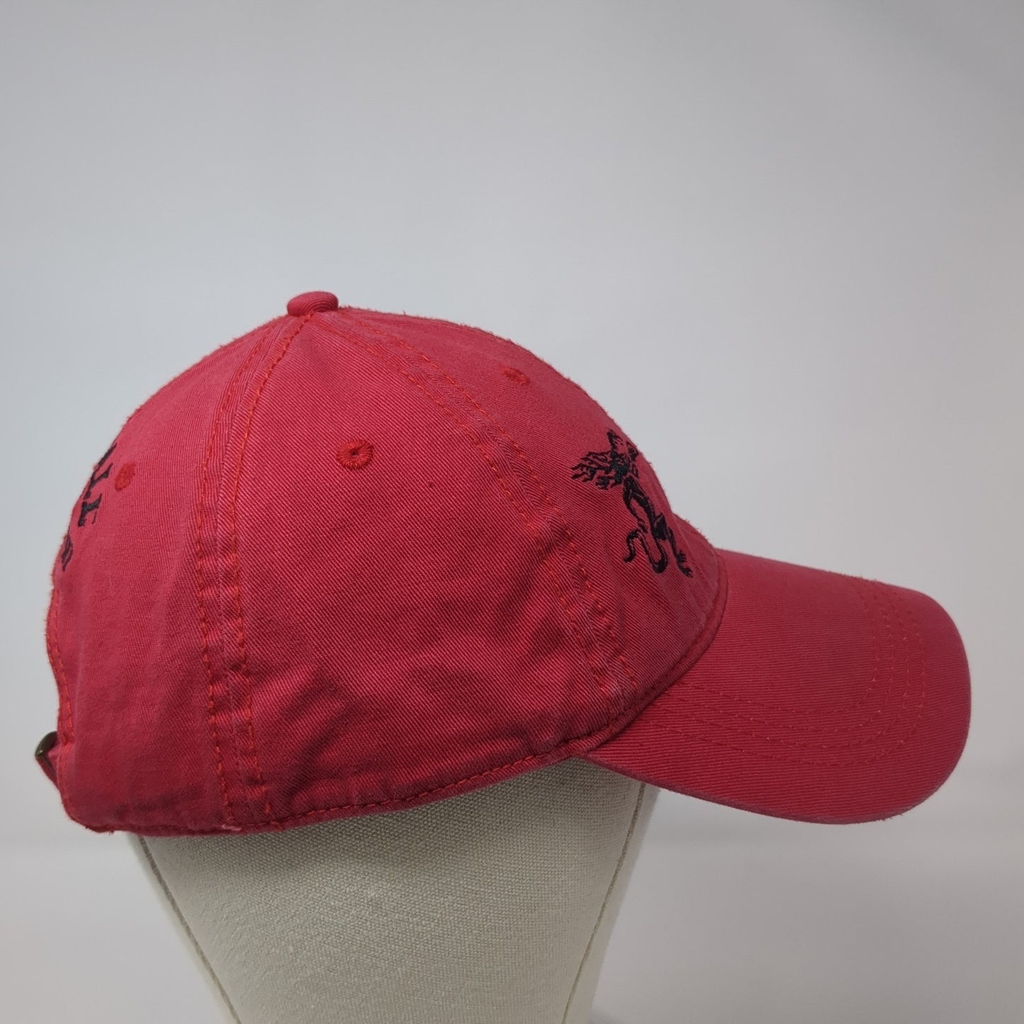 Fireball Cinnamon Whiskey Baseball Cap Red One Size Adjustable Cap America