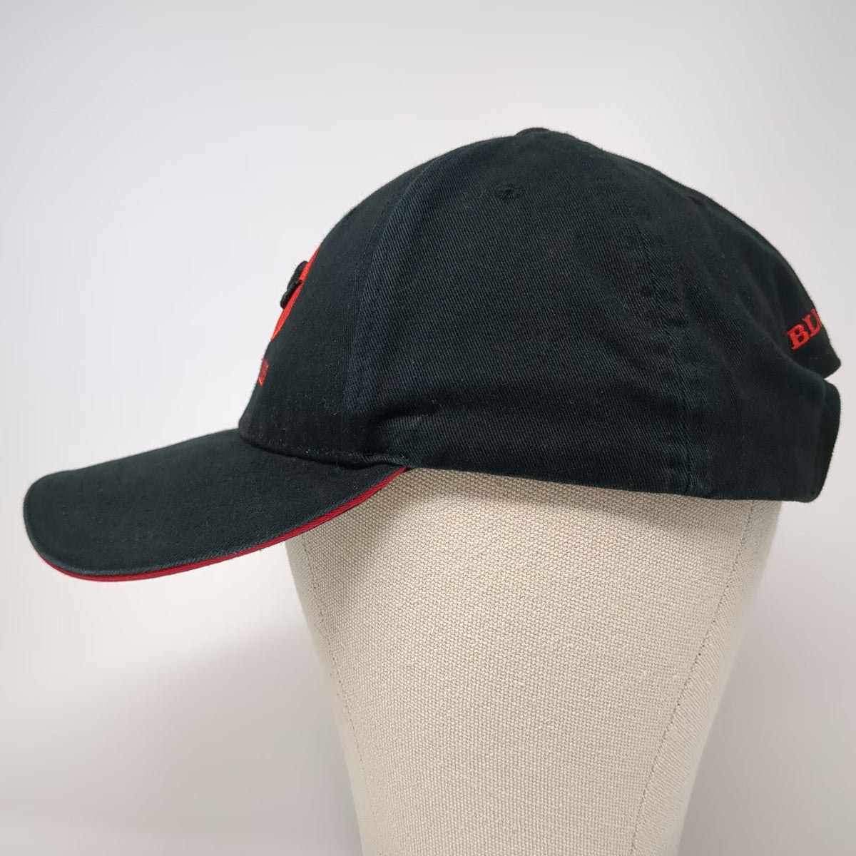 Bryson Sales Blue Bird Bus Logo Baseball Cap Black Red One Size Strapback Hat