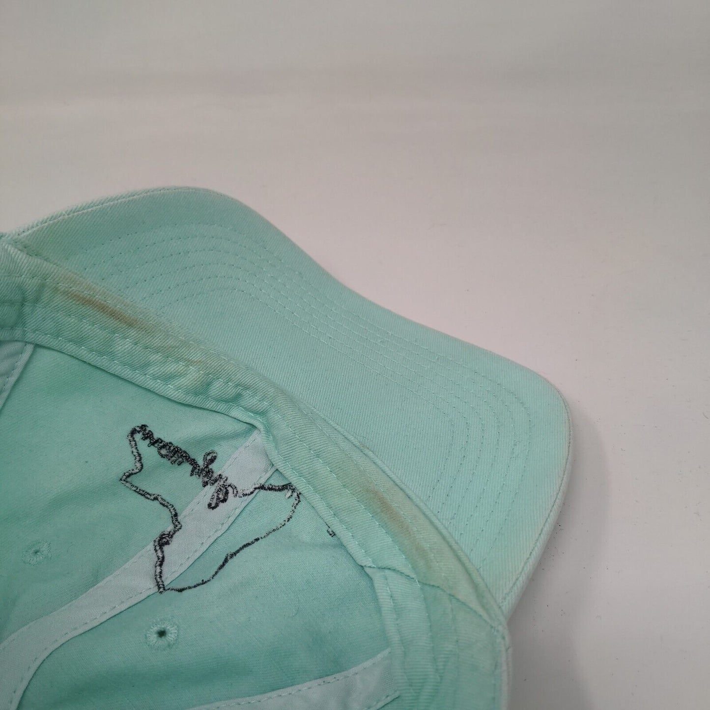 New York Slideback Hat Greenish-Blue OSFM Adjustable Embroidered Home Free