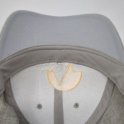 PTSD Snapback Hat Gray One Size Solid Adjustable Embroidered Yupoong