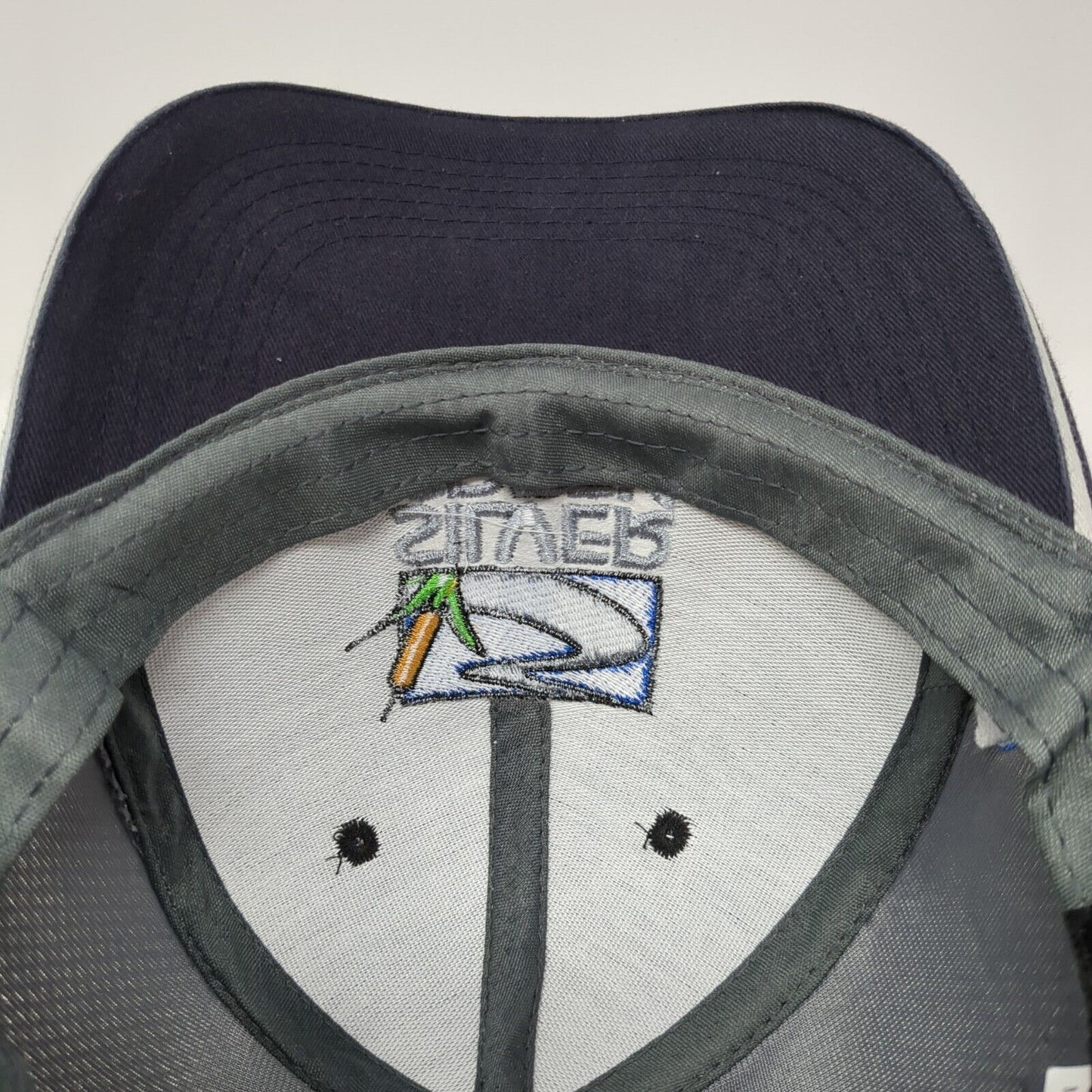 Silver Creek Strapback Hat Multicolor One Size Adjustable Embroidered