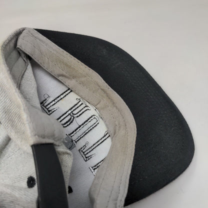 Truth Snapback Hat Gray OSFA Embroidered Adjustable 6 Panel Colorblock