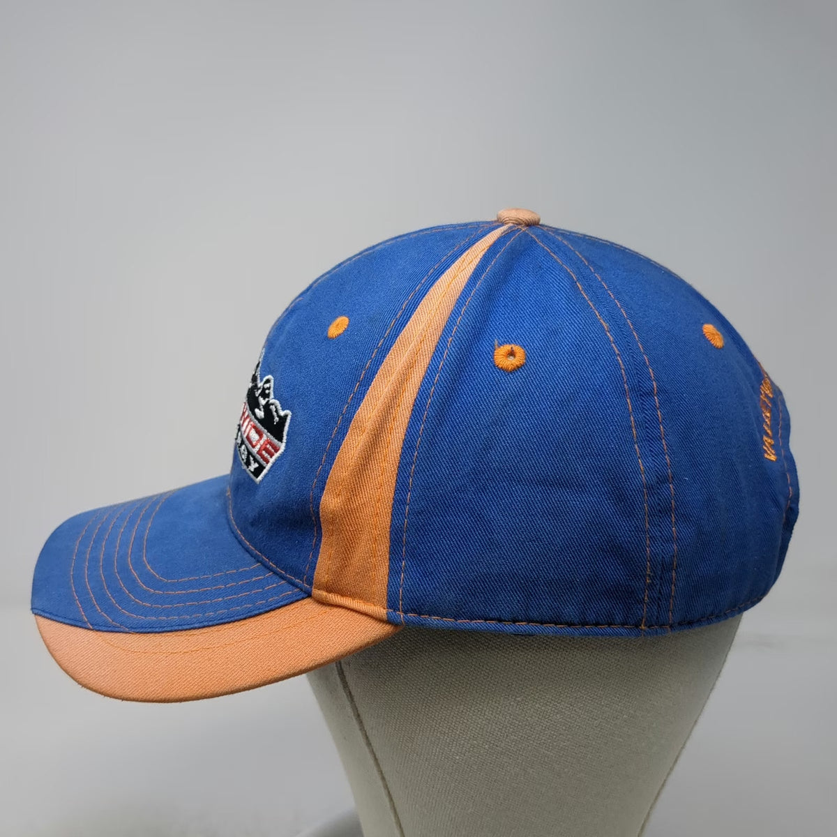Buck's Bags Baseball Cap Blue Orange OSFM Valley Wide Energy Mountain Logo Hat
