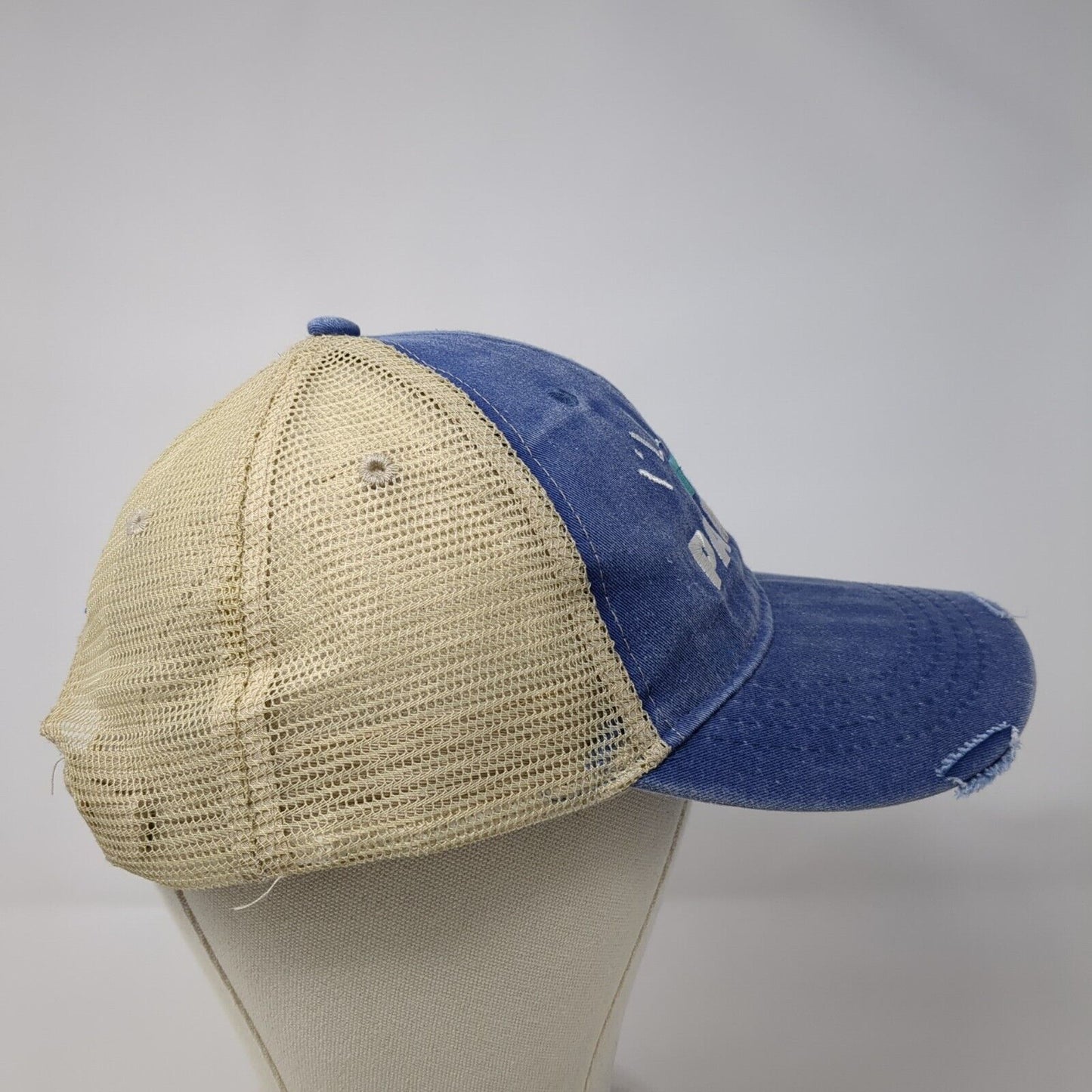 I'll Bring The Party Snapback Trucker Hat Multicolor OS Mesh Back Distressed