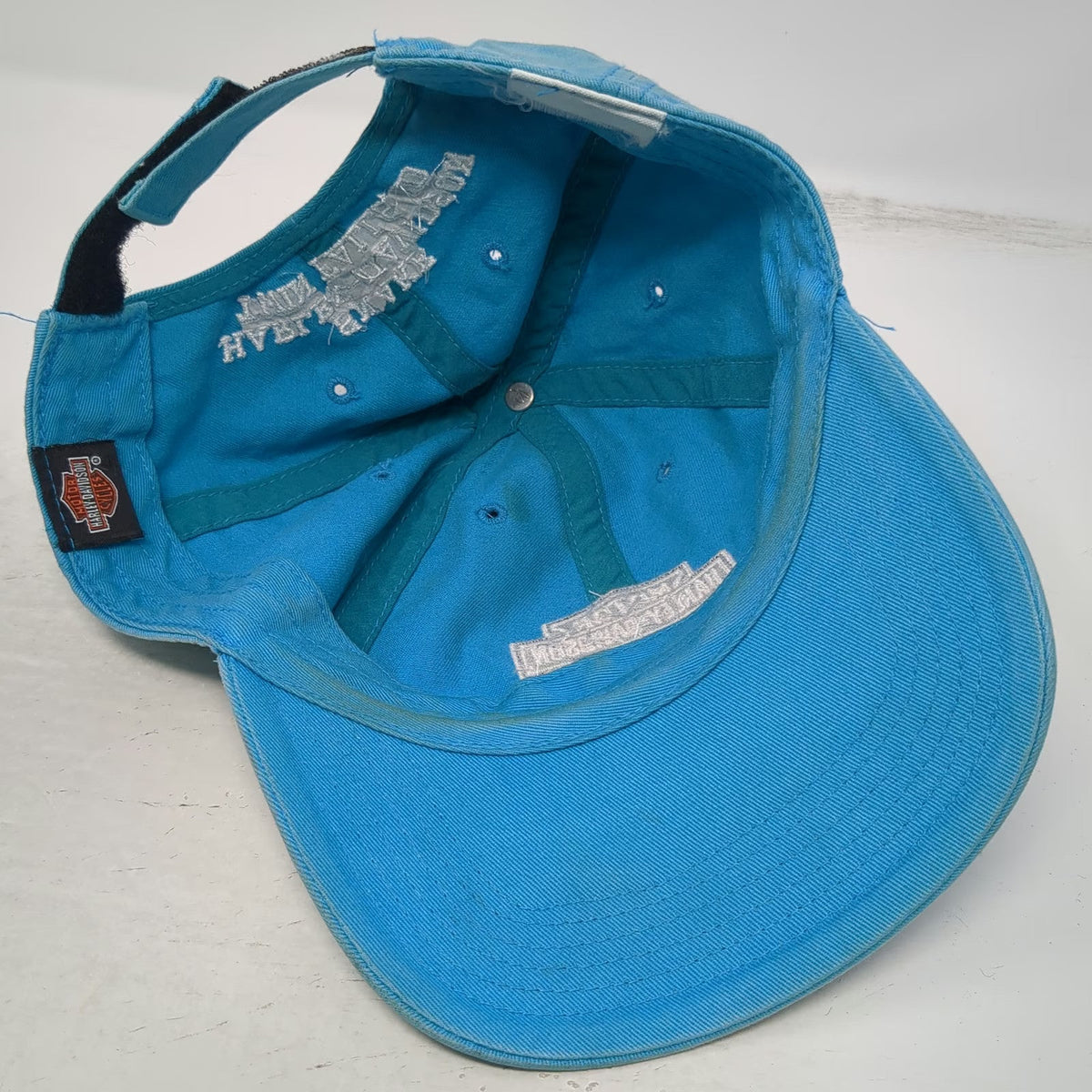 Harley-Davidson Baseball Cap Blue One Size Snake Twin Falls ID Script Hat