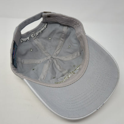 Western Idaho Fly Fishing Expo 2010 Slideback Hat Gray One Size 6 Panel
