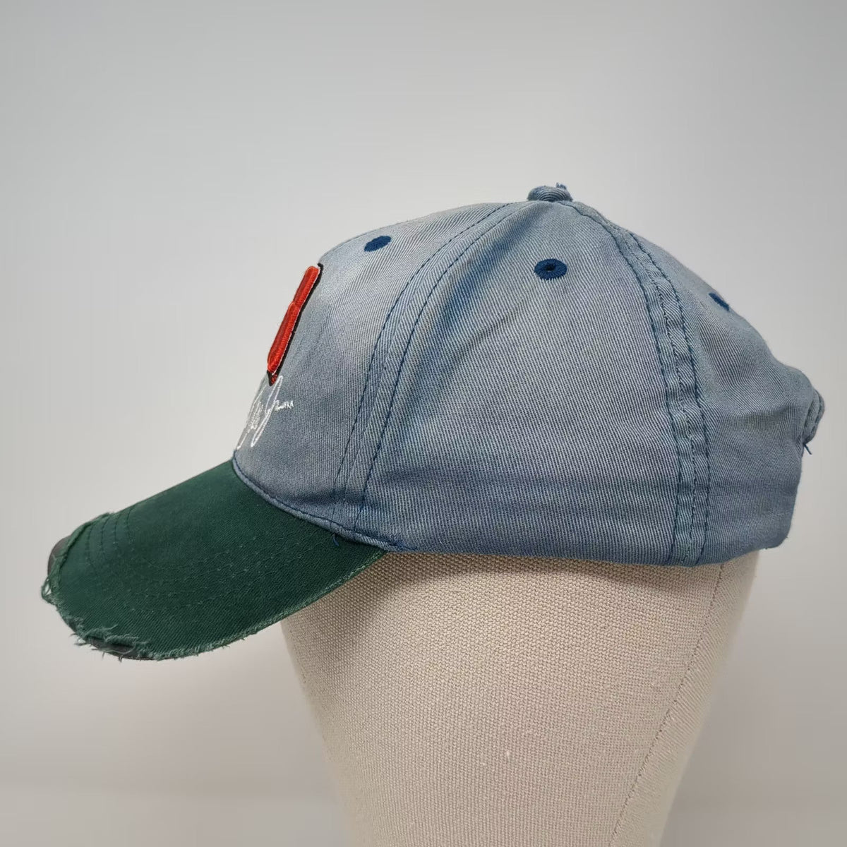 Kellogg's Racing Dale Earnhardt Jr 88 NASCAR Hat Blue Green Distressed OSFM Cap
