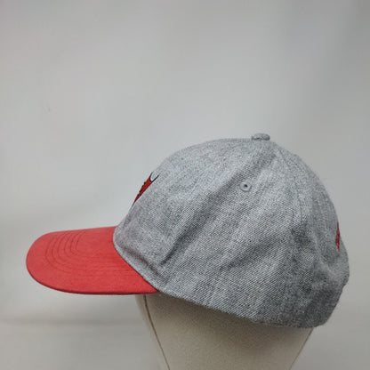 Tampa Bay Buccaneers Strapback Hat Gray Red Embroidered Logo Season Pass NFL