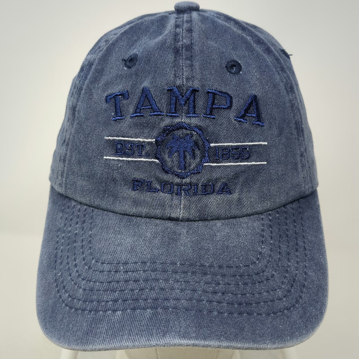 DMR Classic Headwear Baseball Cap Blue One Size Tampa Florida Palm Tree Hat