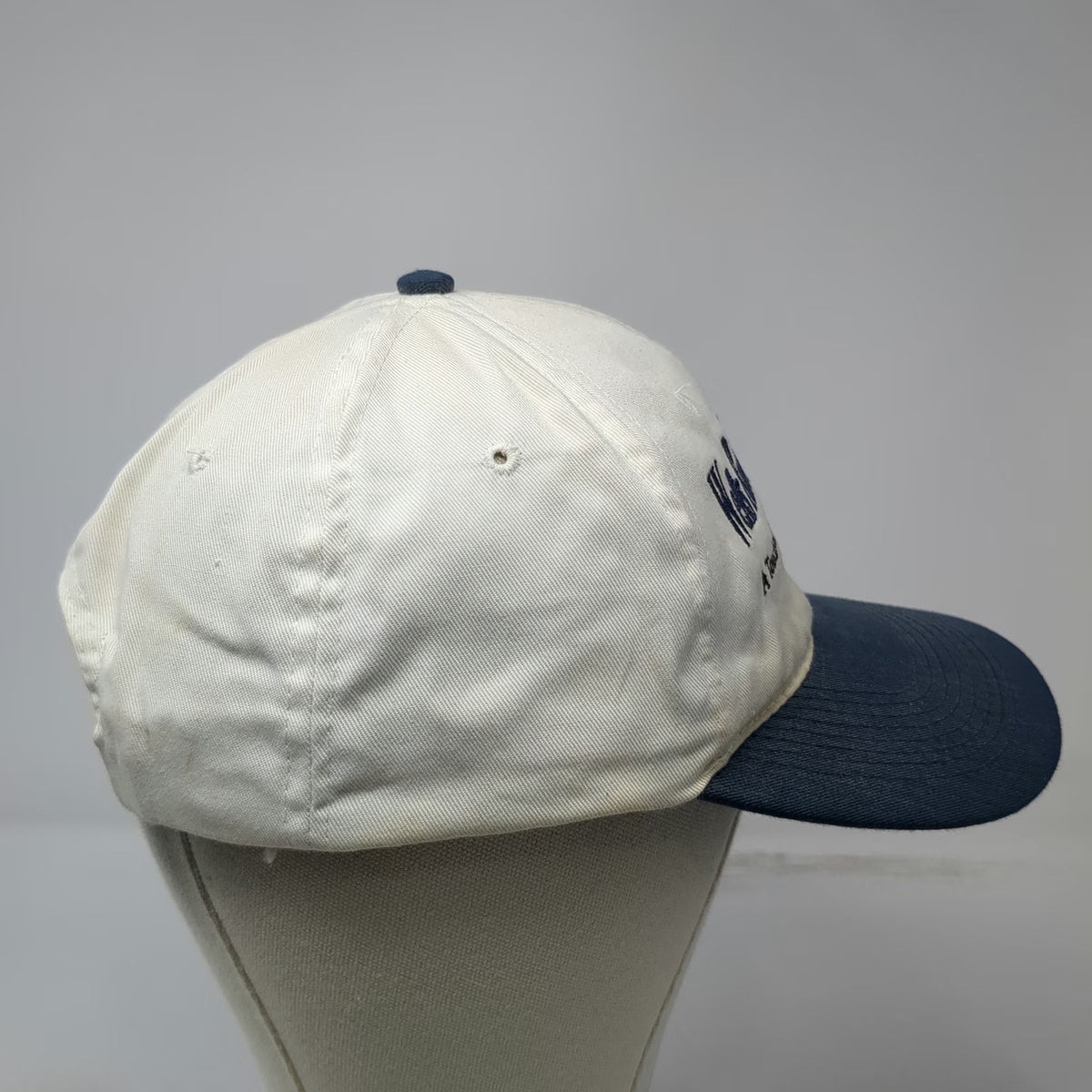 Otto Snapback White Blue One Size Wells Rural Electric Company Embroidered Hat