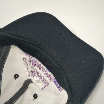 Richardson Baseball Cap Gray White Purple L Wicked Warriors East Greenwich Hat