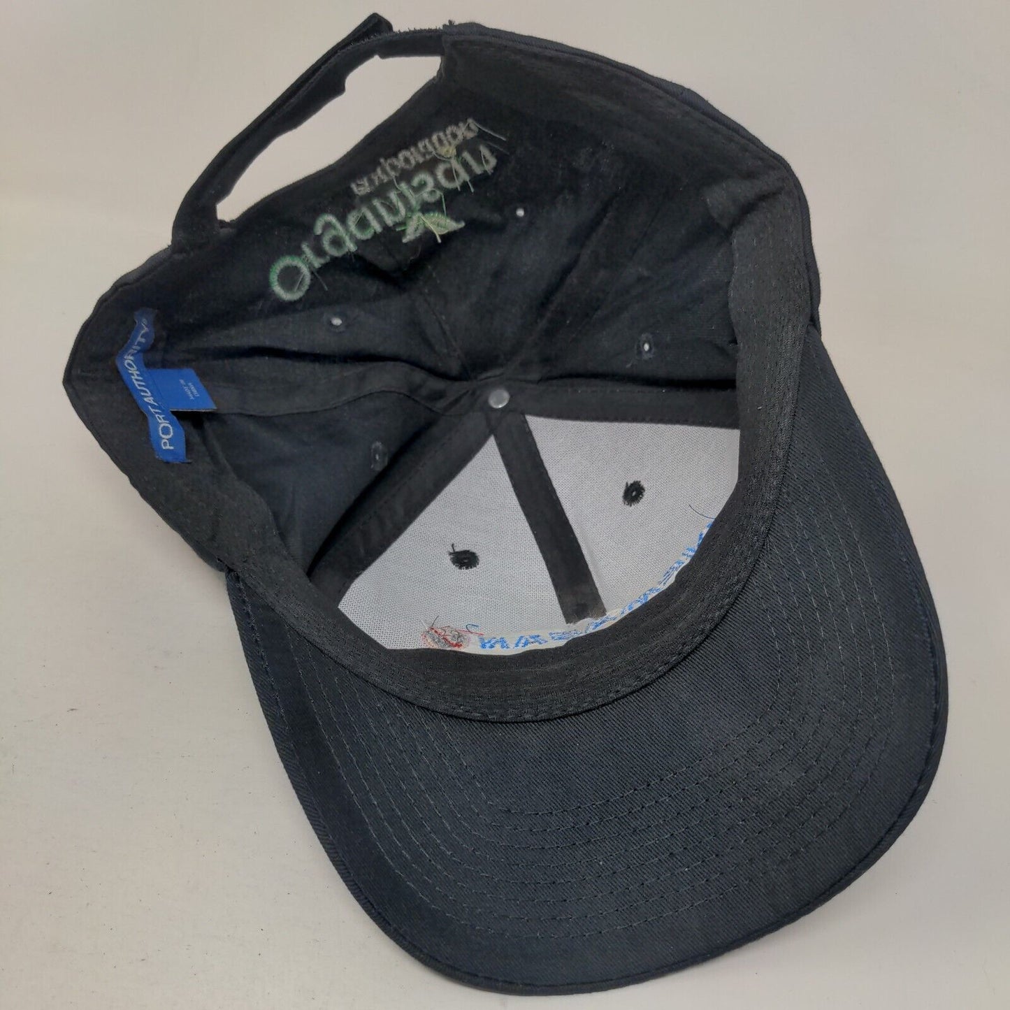 Nemasan Organisan Corporation Strapback Hat Blue One Size Embroidered