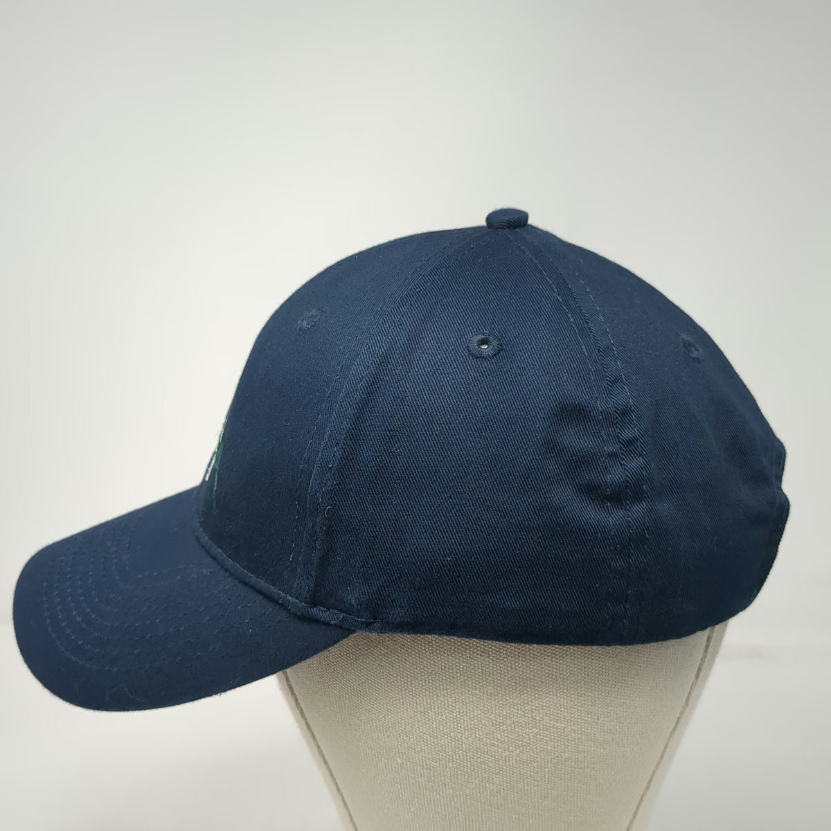 Port & Company Baseball Cap Blue One Size Strapback Eagle Mountain Forest Hat