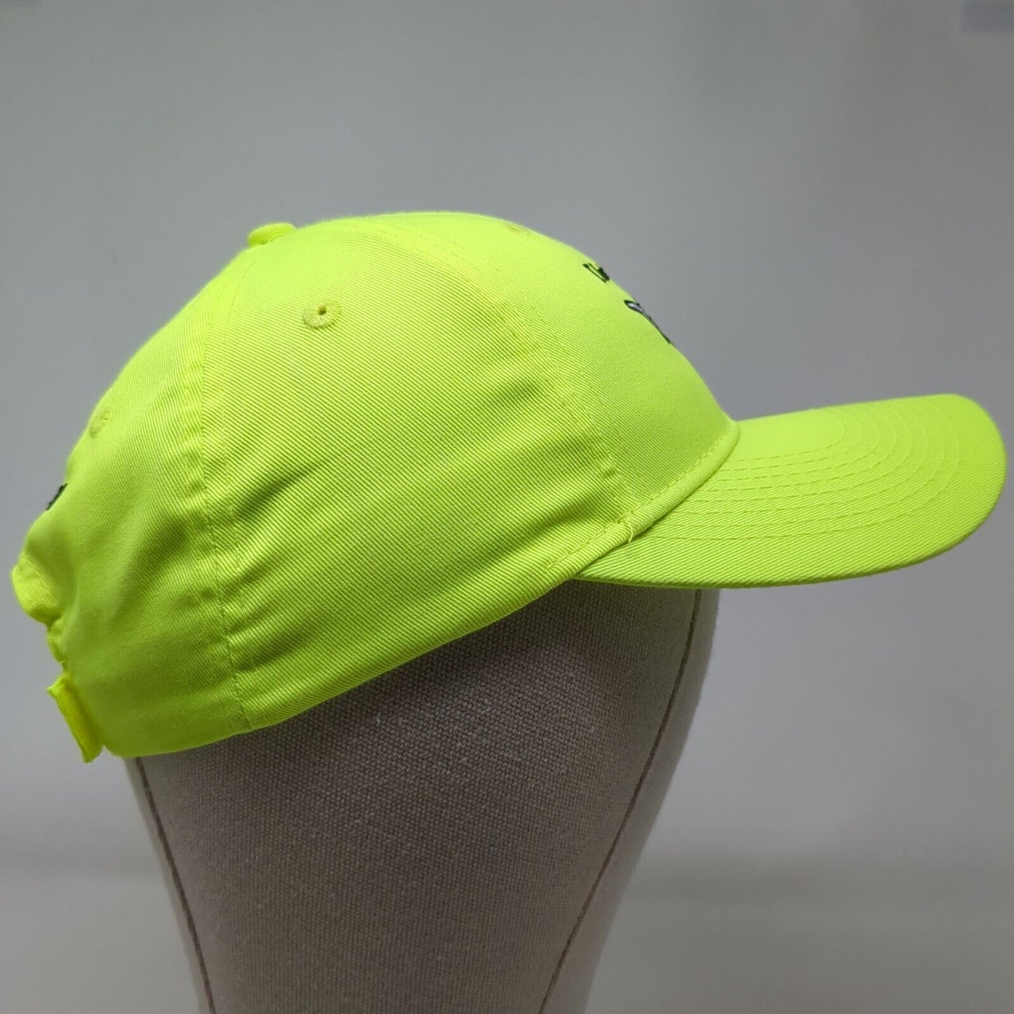 I Lost My Sturginity Schwartz Sturgeon Pond Strapback Hat Green OSFA Adjustable