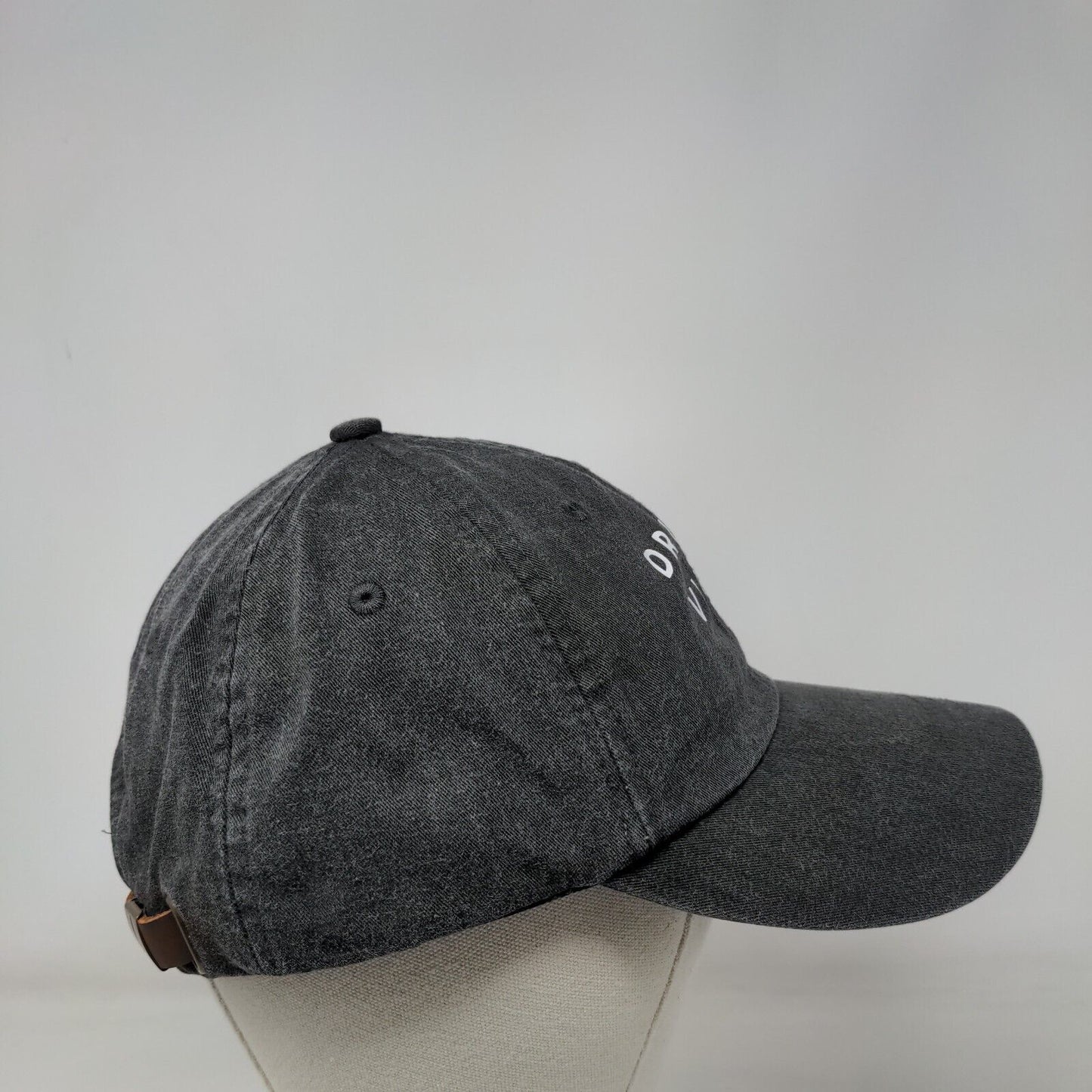 Drunk Vibes Slideback Hat Gray One Size Leather Strap Lined Adams