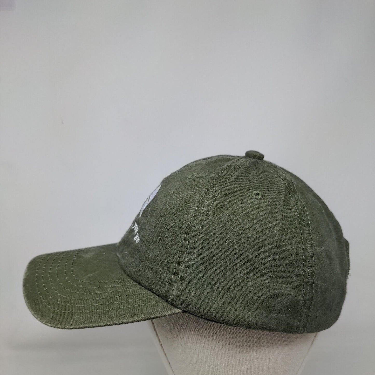 Breathe With Your Gut ResBiotic Strapback Hat Green OS Embroidered Hit Wear