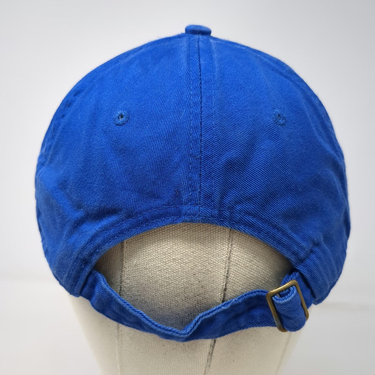 econscious Baseball Cap Blue One Size Organic Cotton Library Patch Strapback Hat