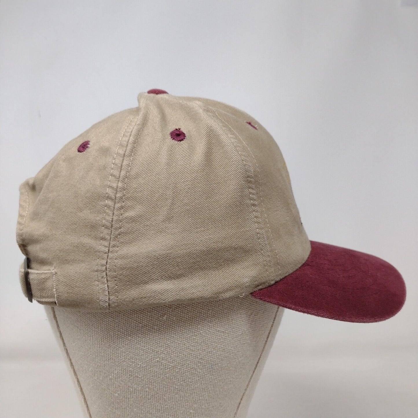 Larry Miller Ford Lincoln Mercury Slideback Hat Multi OSFA Colorblock