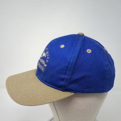Nike Baseball Cap Blue Beige OS Desert Aire Golf Course Embroidered Strap Hat